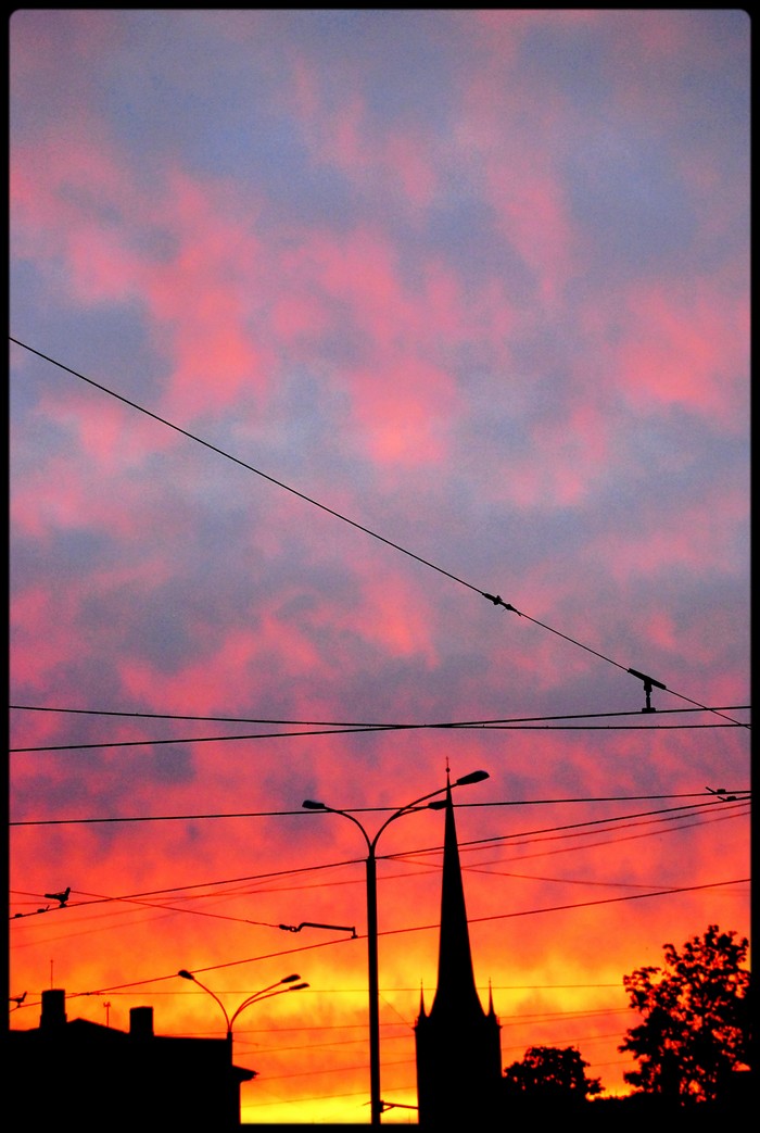 DSC_007.jpg