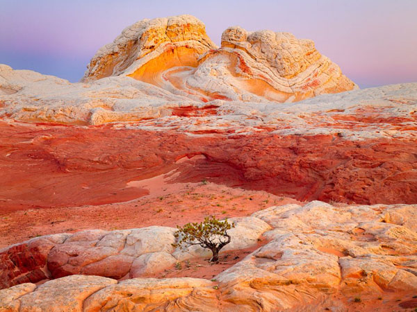 arizona-butte_23917_990x742.jpg