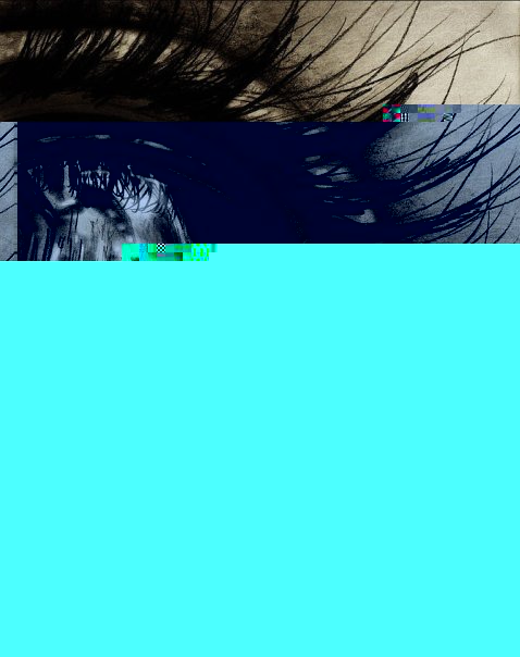 x_65b094e6.jpg
