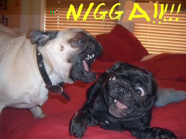 nigger2.jpg
