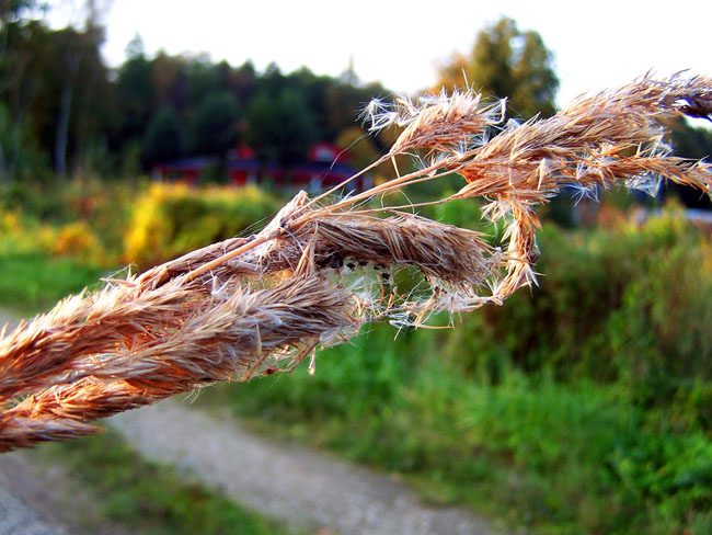 100_1512.jpg