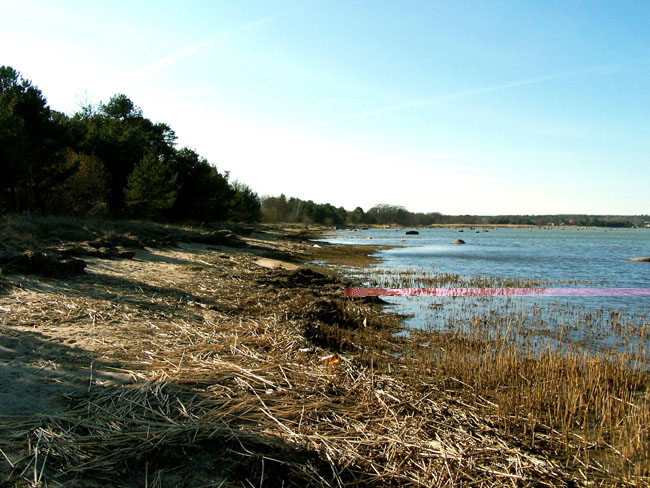 100_6906.jpg