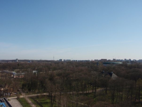 x_b671c598.jpg