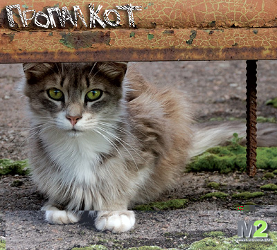 pro_kot_promo_pict.jpg